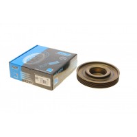 Шків колінвалу Renault Megane/Kangoo/Clio 1.5 dCi 08-/05- (6PK)