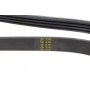 Ремінь генератора Renault Rapid 1.4i 91-98 (4PK1183)