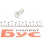 Болт Banjo (банжо) M10x1mm (16x32.3)