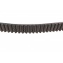 Ремінь ГРМ VW Golf/Touran 2.0FSI 03-08 (23x145z)