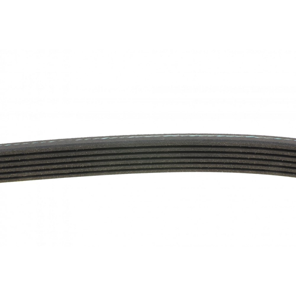 Ремінь генератора Citroen Berlingo/Fiat Scudo 1.9D 98-06 (6PK1437)