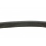 Ремінь генератора Citroen Berlingo/Fiat Scudo 1.9D 98-06 (6PK1437)