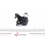 Опора кульова (передня/знизу/R) Audi A3/Seat/Skoda Octavia/SuperB/VW Caddy/Golf/Touran/Tiguan 03-
