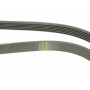 Ремінь генератора VW LT 2.8TDI 01-06/Volvo 850/S70/S80/V70 2.5TDI 95-06/Opel Astra 1.6 12- (6PK1685)