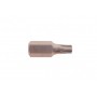 Біта Torx (10xT40 мм)