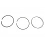 Поршень Citroen Jumper II/Peugeot Boxer 2.2HDi 06- (86.00mm/STD)