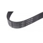 Ремінь генератора Fiat Ducato 2.5/2.8 JTD 97-02 (6PK946)