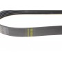 Ремінь генератора BMW 3 (E46)/ X5 (E53)/ 5 (E39) 2.5D-3.0D 98-06/ Land Rover Range Rover 3.0 D 02-12