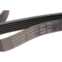 Ремінь генератора Opel Vectra/Omega/Peugeot 206/Audi A6 2.5TDI 94-/ Chevrolet Captiva 2.4 06-