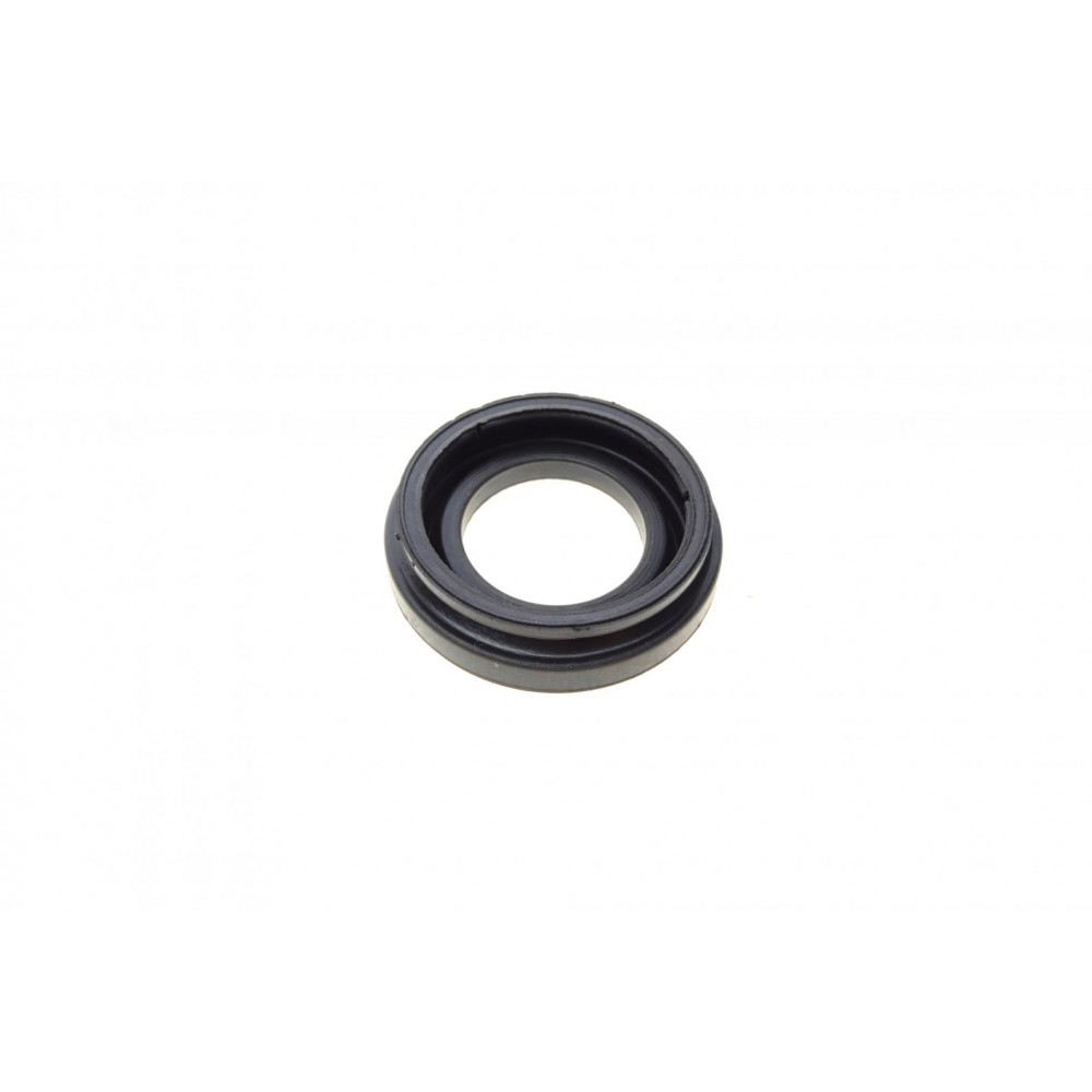 Ремкомплект супорта (заднього) Renault Megane/Scenic 08- (d=34mm) (TRW) (+поршень/направляюча)