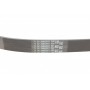 Ремінь генератора VW Golf III/Passat/Caddy 1.9/2.0TDI/SDI 03-10/Skoda Octavia/Superb 1.9/2.0TD 04-15