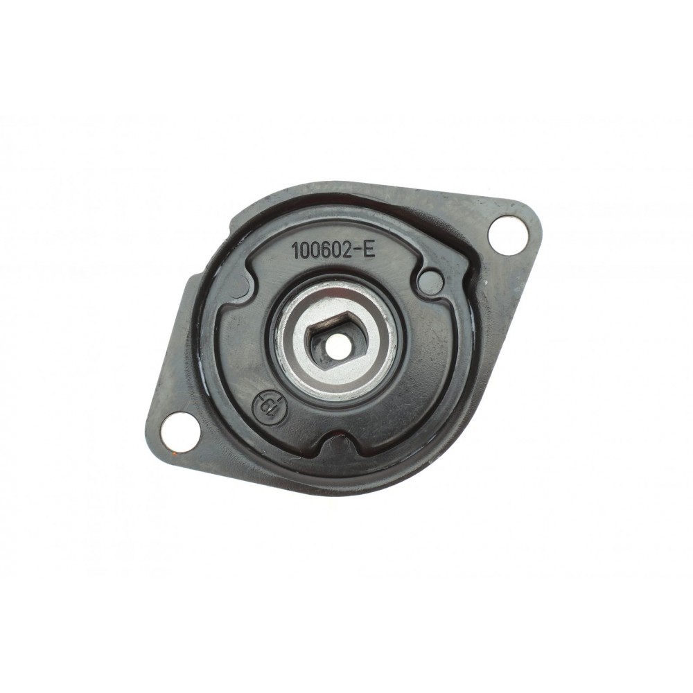 Натяжник ременя генератора VW Caddy II/T4 1.6-2.0 95-