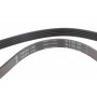 Ремінь генератора Citroen Jumper 2.8HDI 00-/Honda Accord 1.9-2.0 93-98/ Toyota Carina 2.0 96-97