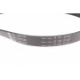Комплект ременя генератора Ford Focus 2.5 ST 05-12, (5PK890 + 5PK848)