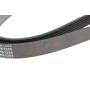 Ремінь генератора Hyundai i30/ Tucson/ ix20 1.4i-1.6 07-/ Kia Cee'd/Picanto/ Soul 1.0-1.6 06-