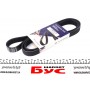 Ремінь генератора Peugeot Expert/Citroen Jumpy 1.9D/TD 96-/2.0HDI 00- (6PK1740)