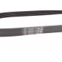 Ремінь генератора VW Golf III/IV/Bora/Skoda Octavia 1.9TDI/SDI 98-10/Mitsubishi Mirage 1.0/1.2 12-