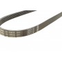 Ремінь генератора BMW 3 (E36)/5 (E34/E39) 2.0/2.5i 90-00/Ford Focus 2.5 05-12/Volvo C30/C70 04-13