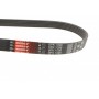 Ремінь генератора Citroen Jumper/Peugeot Boxer 2.0 94-/VW Caddy 1.4 04-