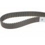 Комплект ГРМ + помпа VW Golf IV/Passat 1.9TDI 00-05/Seat Leon/Ibiza 1.9TDI 00-08 (120x30)(P551)