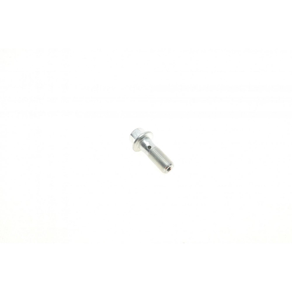 Болт Banjo (банжо) M10x1mm (11x37)