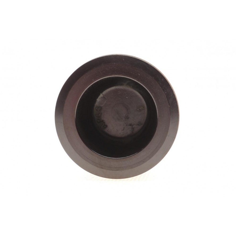 Поршень супорта (заднього) Jeep Cherokee 08-/Wrangler III 07-/Dodge Nitro 06-12 (48x49.5mm) (TRW)