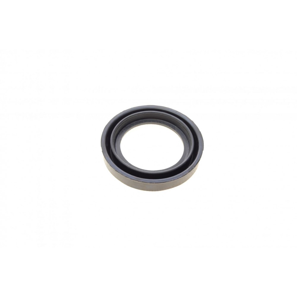 Ремкомплект супорта (заднього) Chrysler Votager 95-08 (d=42mm) (Ate)