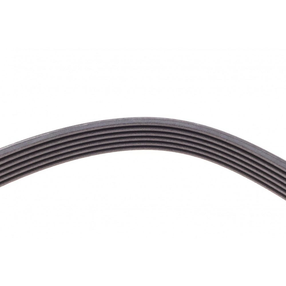 Ремінь генератора VW LT 2.8TDI 97-06/Ford Transit 2.2TDCi 11-14/Citroen Jumper 2.2HDi 11-