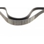Ремінь генератора Ford Focus/Mondeo 2.0TDCi 14-/Fiat Bravo/Stilo 1.8/1.9D 07- (6PK1270)