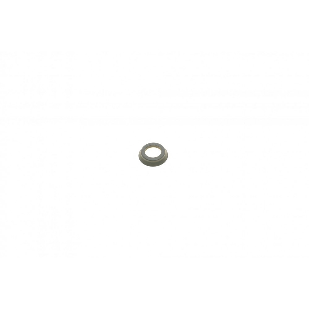 Ремкомплект супорта (заднього) (L) VW Caddy III 04-15 (d=38mm) (Bosch) (+поршень/направляюча)