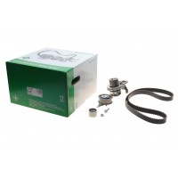 Комплект + помпа ГРМ Audi A1/Skoda Fabia/VW Polo 1.4 TDI 14- (25x145z)