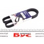 Ремінь генератора Renault Master/Opel Movano/Renault Kangoo 1.9dCi/dTi 00- (6PK1130)