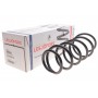 Пружина (передня) Smart Forfour (454) 1.1-1.5 04-06 (хетчбек) (крім Brabus)