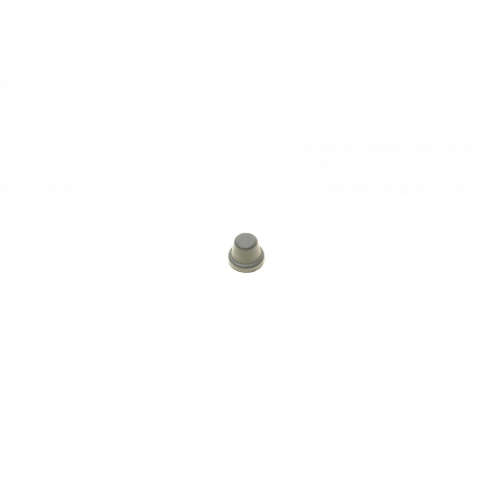 Ремкомплект супорта (заднього) Opel Astra G/Zafira 96-09 (d=36mm) (Bosch) (+поршень/направляюча)