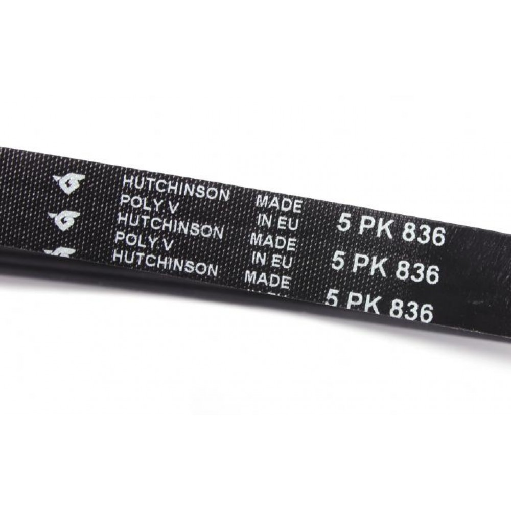 Ремінь генератора BMW 3 (E46)/5 (E39) 1.8D/2.0D 98-03 (5PK836)