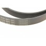 Ремінь генератора Jeep Cherokee/Liberty 2.5CRD/2.8 CRD 01-
