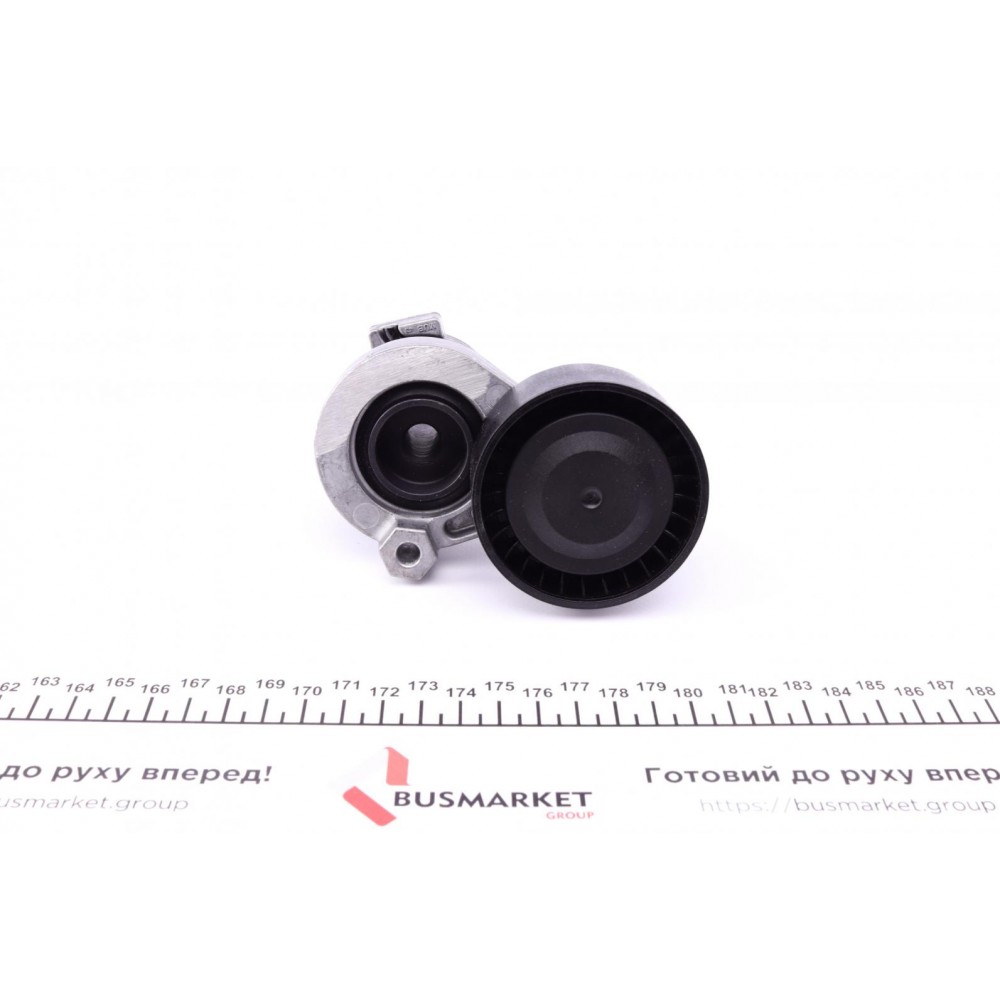 Натяжник ременя генератора Renault Kangoo 1.5dCi 09-