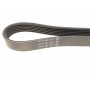Ремінь генератора Opel Vectra 2.0/2.2 DTI (6PK1805)