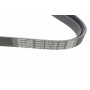 Ремінь генератора VW Caddy III/Fiat Scudo 1.4/1.4TSI 03-