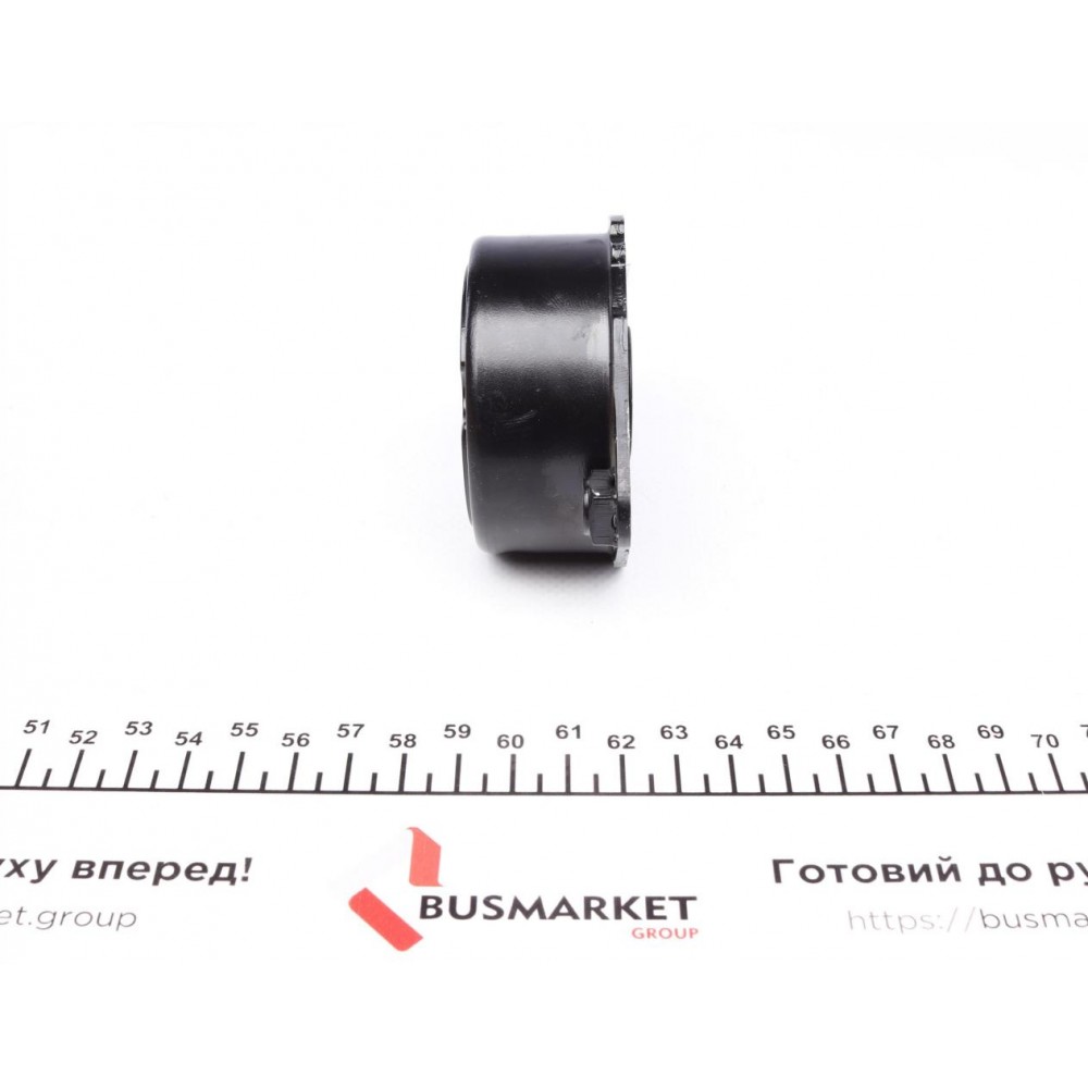 Натяжник ременя генератора BMW 3 (E46) 01-05, M47 D20 (204D4)