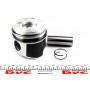 Поршень Citroen Berlingo/Peugeot Expert/Partner 2.0HDI (85.00mm/STD) (71-3749-00) = 7137490000