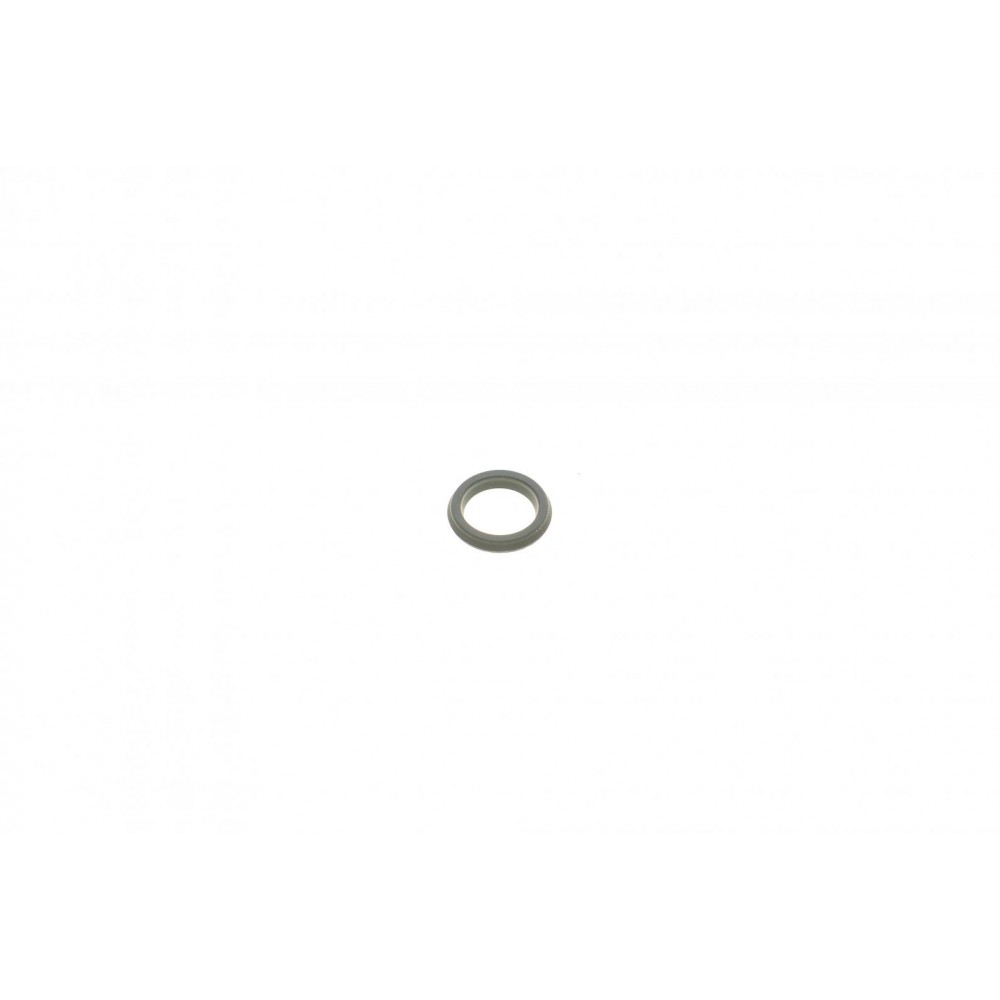 Ремкомплект супорта (заднього) Opel Astra G/Zafira 98-05 (d=38mm) (Bosch) (+поршень/направляюча)