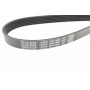 Ремінь генератора BMW X5/Ford Focus 1.4/1.6 16V 98-