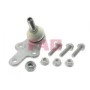 Опора кульова (передня/знизу) Ford Focus II 1.4-2.0TDCi 04-12/C-Max 07-10/Volvo C30/C70/S40 -02/06