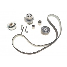Комплект ГРМ + помпа VW Crafter/Caddy/Passat/Golf/Audi/Skoda/Seat 1.2-1.6-2.0TDI 09-(160х25)(PA1089)