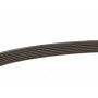 Ремінь генератора Citroen Jumper/Fiat Ducato/Peugeot Boxer 2.0 94-