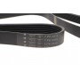 Ремінь генератора MB C-class (W203) 1.8 Kompressor 02-07 (7PK2315)