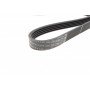 Ремінь генератора Toyota Camry 1.8-2.2 83-02/Rav4 2.0 94-00/Mazda 626 II 1.6/2.0 82-87 (5PK1000)
