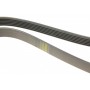 Ремінь генератора Audi 100/A6 2.3 90-97/Seat Toledo 2.3 V5 98-00 (6PK1293)