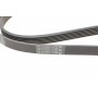 Ремінь генератора VW T4 2.0i 91-03/Opel Vectra 2.2 98-05/Toyota Avensis 1.6/1.8 00-03